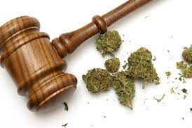 Get direct access to the varieties of Legal Cannabis (Cannabis Legale) that are on the market